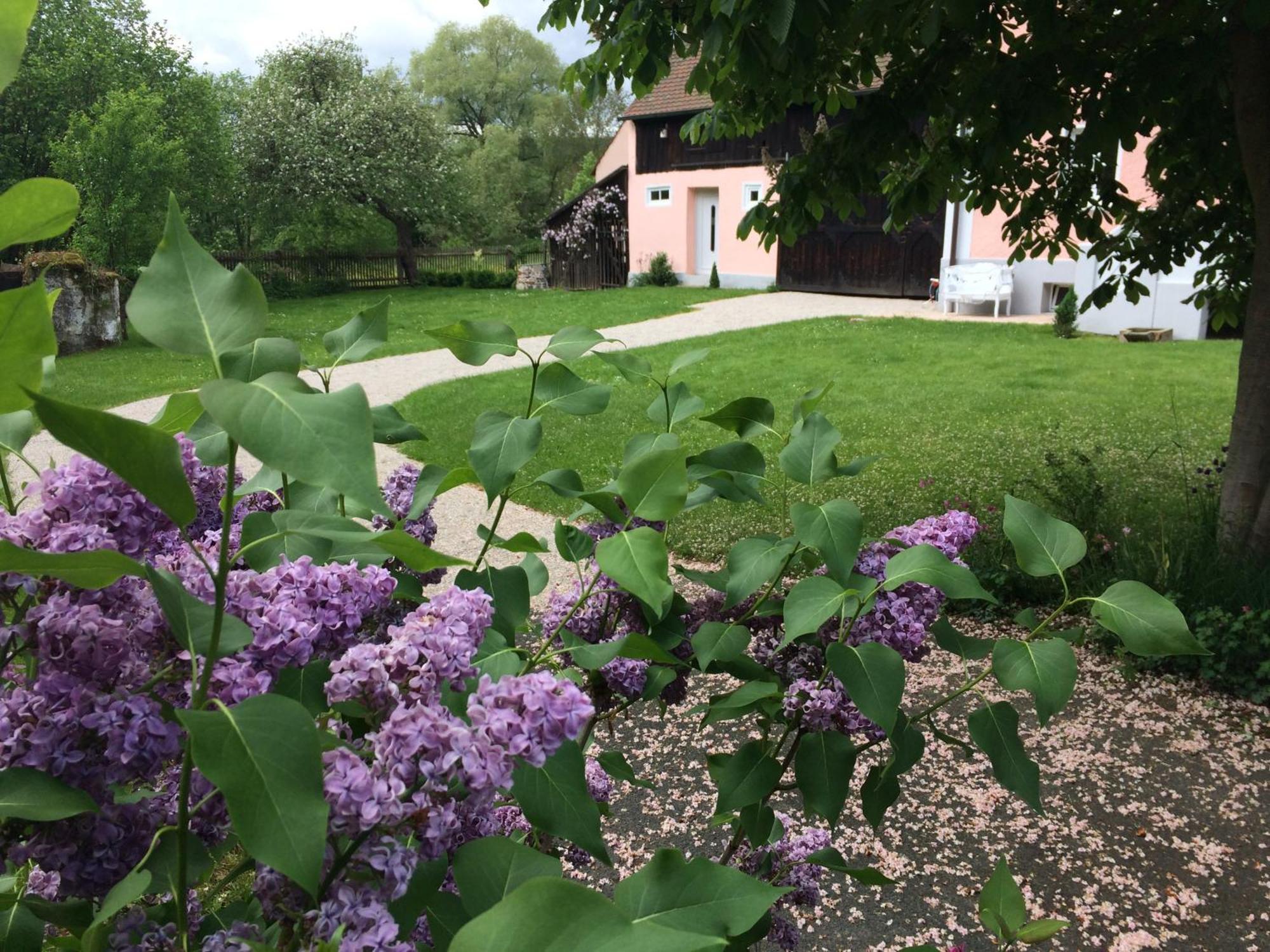 Landhaus Am Schloss Schnabelwaid ภายนอก รูปภาพ
