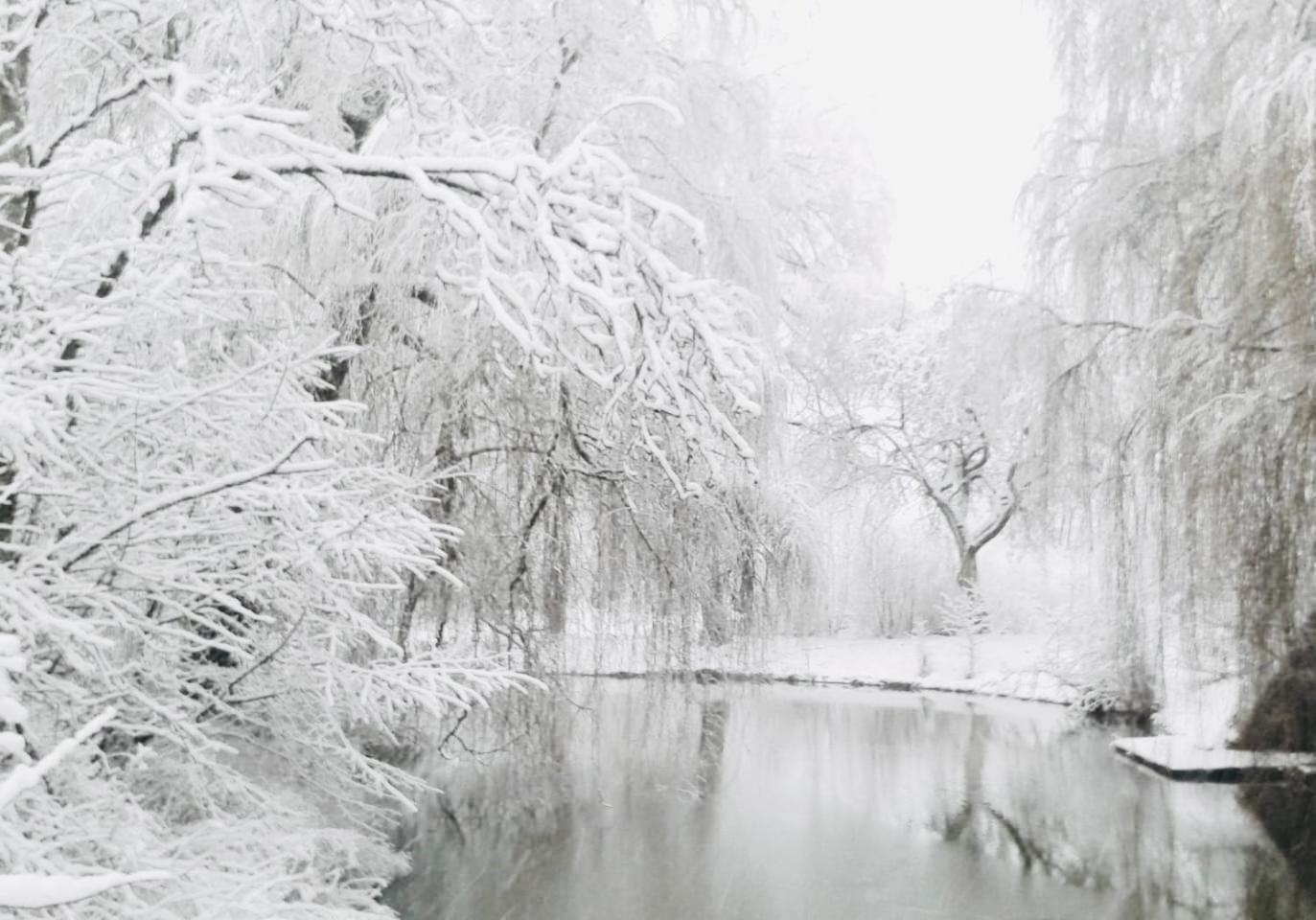 Landhaus Am Schloss Schnabelwaid ภายนอก รูปภาพ